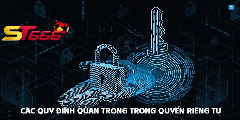 Các quy định quan trọng trong quyền riêng tư