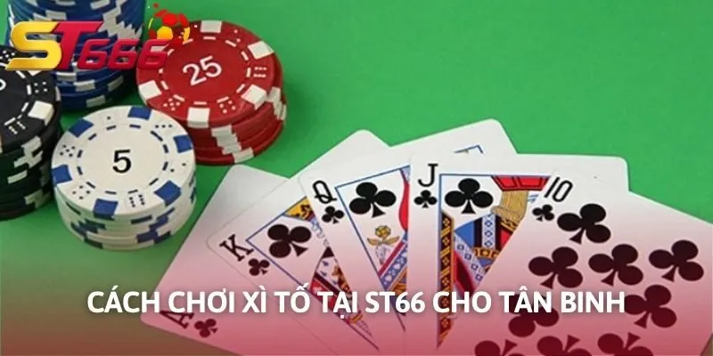 Cách chơi Xì Tố tại ST666 cho tân binh