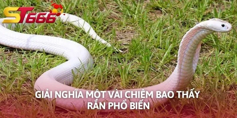 Giải nghĩa một vài chiêm bao thấy rắn phổ biến